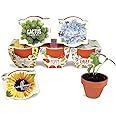 Buzzy Seeds Terracotta Mini Grow Pots | Herb, Plant, Flower Starter Kit for Kids & Adults | Assorted 6-Pack, Daydream Collection | Guaranteed to Grow | Best Indoor-Outdoor Gardening Gift