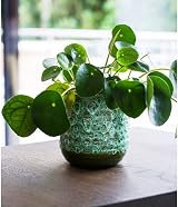 Ivyline Emerald Reactive Glaze Planter 13 cm Ceramic Indoor Pot view 2