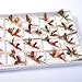 BLISSWILL 48Pcs Butterfly Fly Fishing Lures Dry Flies Set Floating Flies Hooks for Bass Salmon Trout