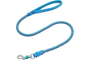 Mycicy 2/3/4/6/10 Foot Reflective Dog Leash Strong Nylon Rope Braided Heavy Duty for Large and Medium Small Dogs Walking Training Leads (Sky Blue, 3ft * 1/2")