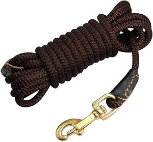 Correas De Adiestramiento Caninas Nylon Dog Long Leash ...