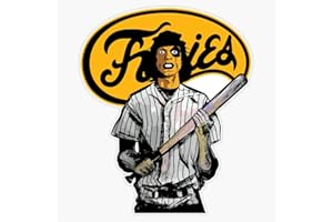 VISION GRAPHICS Baseball Furies Sticker Bumper Sticker Vinyl Decal 5"