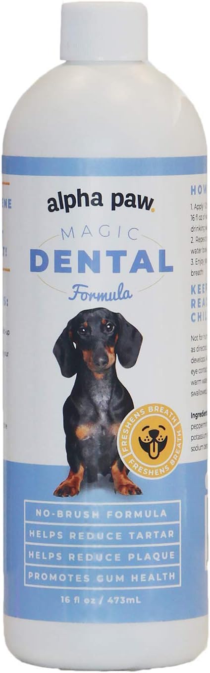 natural mouthwash for dogs