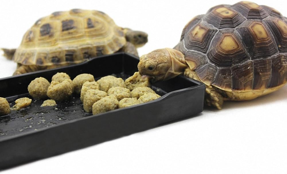 OMEM Reptile Food Bowl, Water Dish,Feeding Dish, Tortoise Bowl (S, Black Smooth) - Image 5