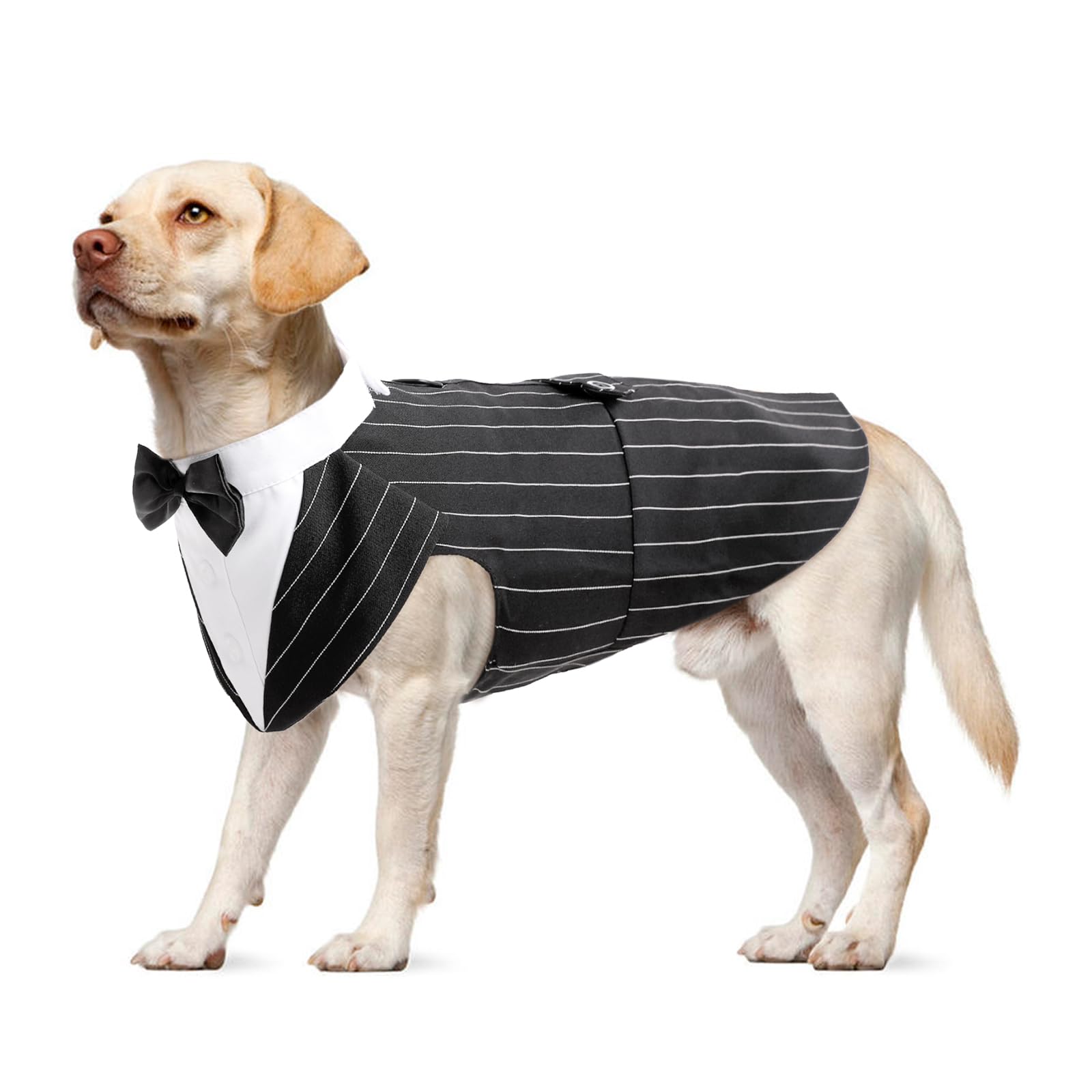 Dog Wedding Outfit - Tuxedo Cat Dog Costume with Bandana Shirt for Dachshund - Black Striped Tuxedo Waistcoat - S/M/L/XL