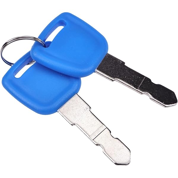 Amazon.com: MT40266850 CNH Genuine OEM Key, Ignition : Automotive