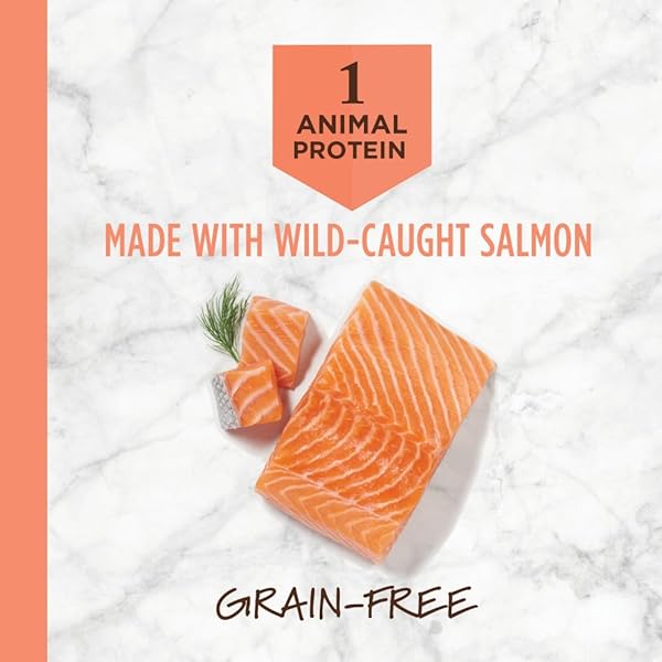 INSTINCT LIMITED INGREDIENT DIET, NATURAL DRY DOG FOOD, GRAIN FREE RECIPE – REAL SALMON, 4 LB. BAG