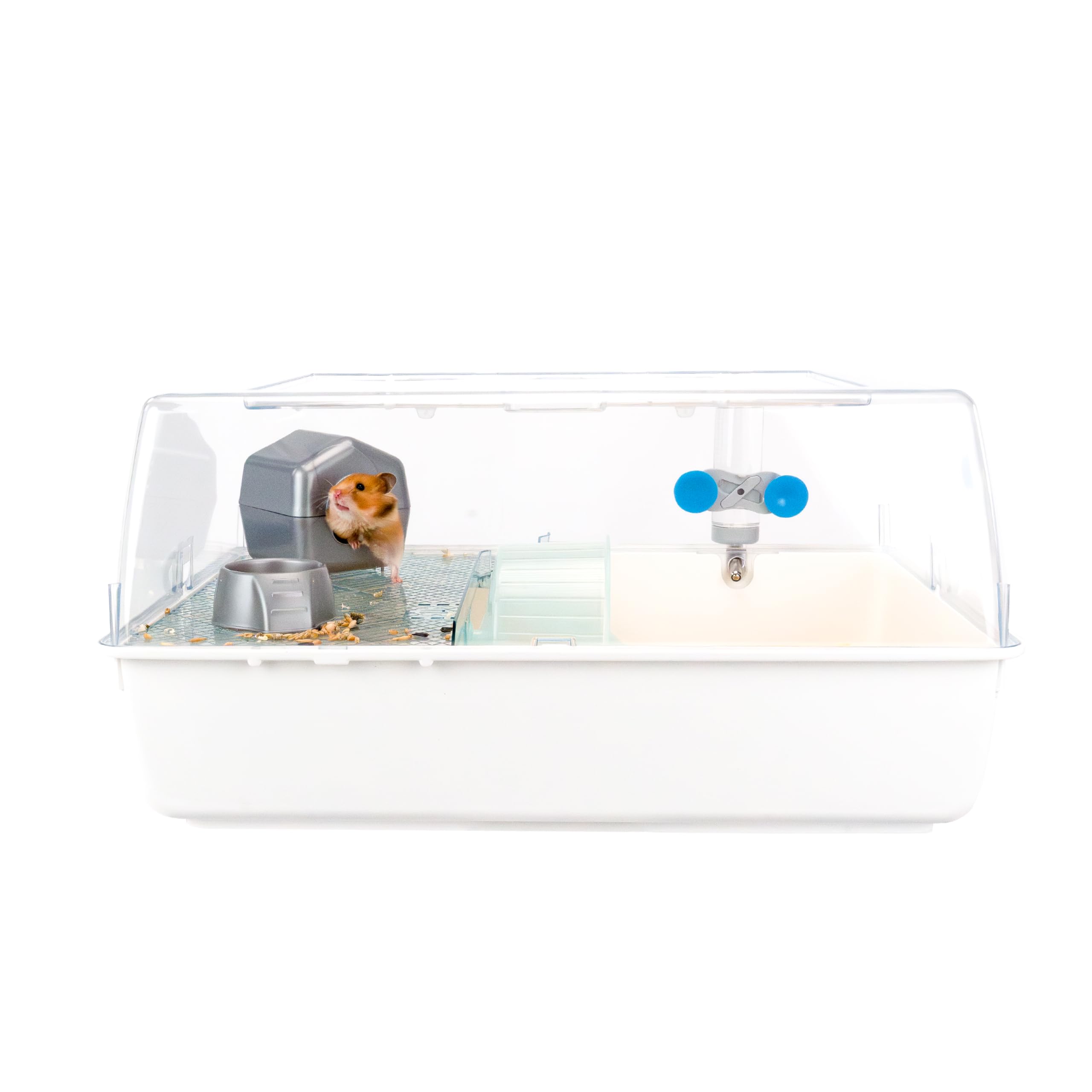 Ferplast MINI DUNA HAMSTER Compact Hamster Cage - Ventilated Multi-Level Habitat with Interactive Transparent Top - Exercise Wheel & Accessories - Easy Clean, 55x39x27 cm - White