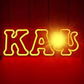 Vveikea Fraternity Sorority Neon Sign Dimmable Neon Lights for Wall Decor University Fraternity LED Sign Greek Fraternity Light Up Gifts for Man Bro