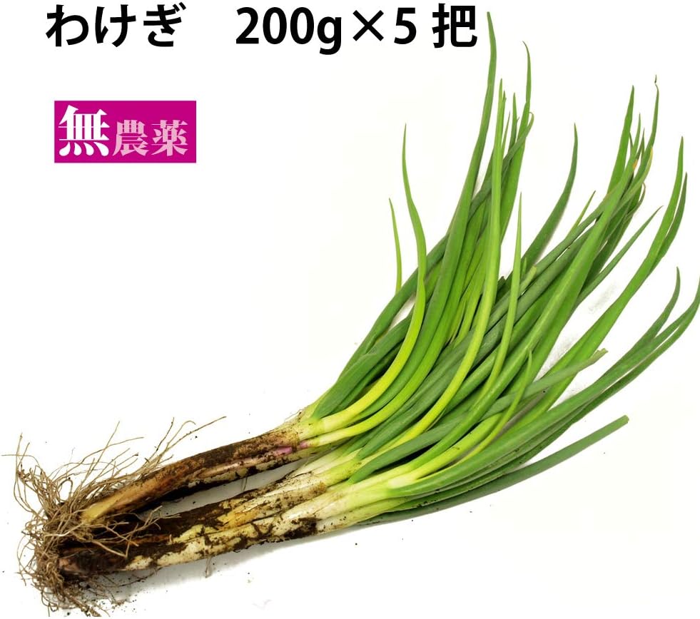 Amazon わけぎ0ｇ 5把 埼玉県産 無農薬栽培 ベジタブルハート 食品 飲料 お酒 通販