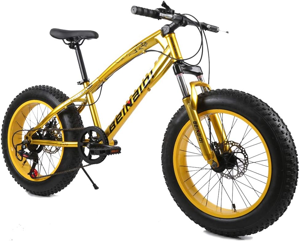 XNEQ Fat Tire Mens Shift Mountain Bike, Rear-Wheel Disc Brakes,Medium High-Tensile Steel Frame, 7/21/24-Speed, 20-Inch Wheels