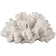 White Coral Decor - Coral Sculpture - Faux Coral Decor Measures 7in x 7in x 4in - Coral Decorations for Home - Faux Coral Reef Decor - White Coral Decoration - Sea Coral Sculpture - Beach Coral