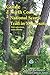 Guide to the North Country National Scenic Trail in Minnesota by Susan Carol Hauser, Linda D. Johnson
