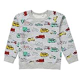 Enfants Chéris Little Kids Cotton Crewneck Sweatshirt Toddler Boys Long Sleeve Graphic Tee, 3T