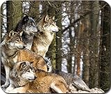 Wolf Pack Large Mousepad Mouse Pad Great Gift Idea