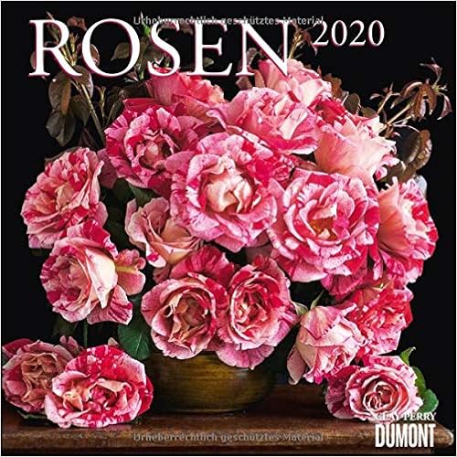 Rosen 2020 - Broschürenkalender - Format 30 x 30 cm Rosen 2020 - Broschürenkalender - Format 30 x 30 cm