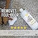 SKOUT'S HONOR: Carpet Spot Remover Urine Destroyer - Professional Strength - Break Down Urine Stains & Eliminate Odors - Safe for Rugs, Carpet, Upholstery, and Other Porous Surfaces - 32 fl oz