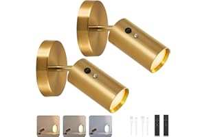 HOJOYRI 2 Pack Gold Wireless Led Spotlights Indoor with Remote, 8000amh Cordless Battery Operated Plant Uplights, Rechargeabl