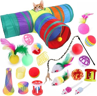 ACNCN 22 Pcs Cat Toys Set Interactive Indoor Kitten Toys Rainbow