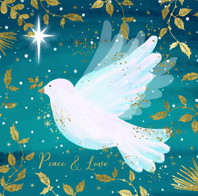 Noel Tatt Charity Christmas Cards Pack of 10 - Assorted Designs - 2 x 5 White Dove Designs - Religious Christmas Cards Multipack - In Aid of UK Charities