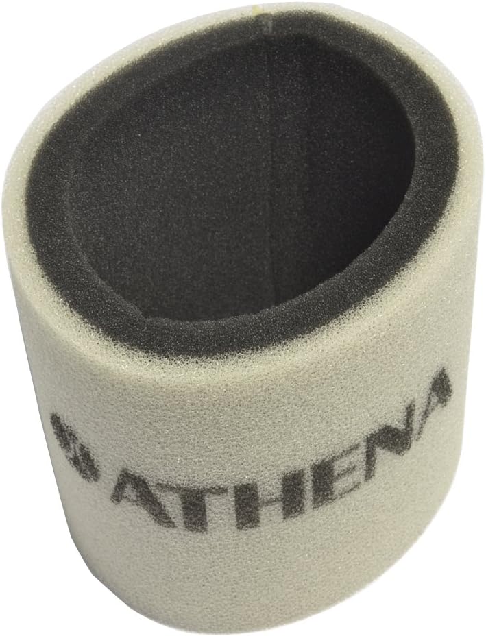 Athena(S410250200019) Air Filter