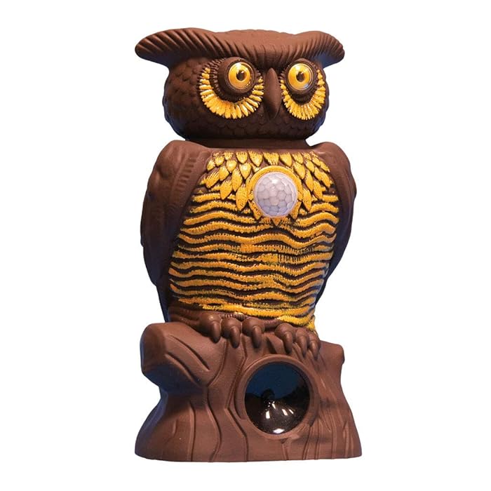 Top 10 Solar Hooting Owl Garden Stake Home Previews
