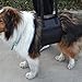 Dog Lift Harness,Sling Lift Support Harness for Injuries, Arthritis or Weak hind legs & Joints fit Medium and Large breed Assist Sling for mobility & Rehabilitation