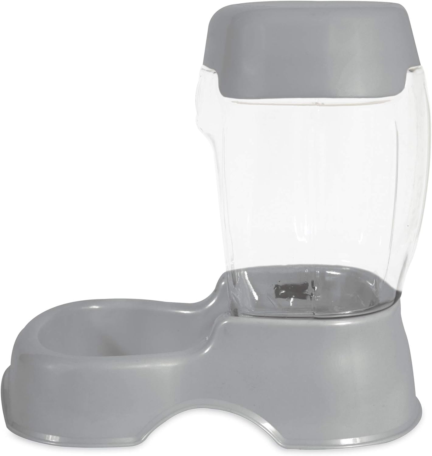 Pet Supplies : Petmate Pet Cafe Feeder Dog and Cat Feeder Pearlescent Colors 3 Sizes : Pet Self Feeders : 