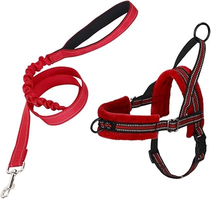 Amazon dog harness and lead Clearance