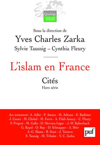 Download L'islam en France PDF
