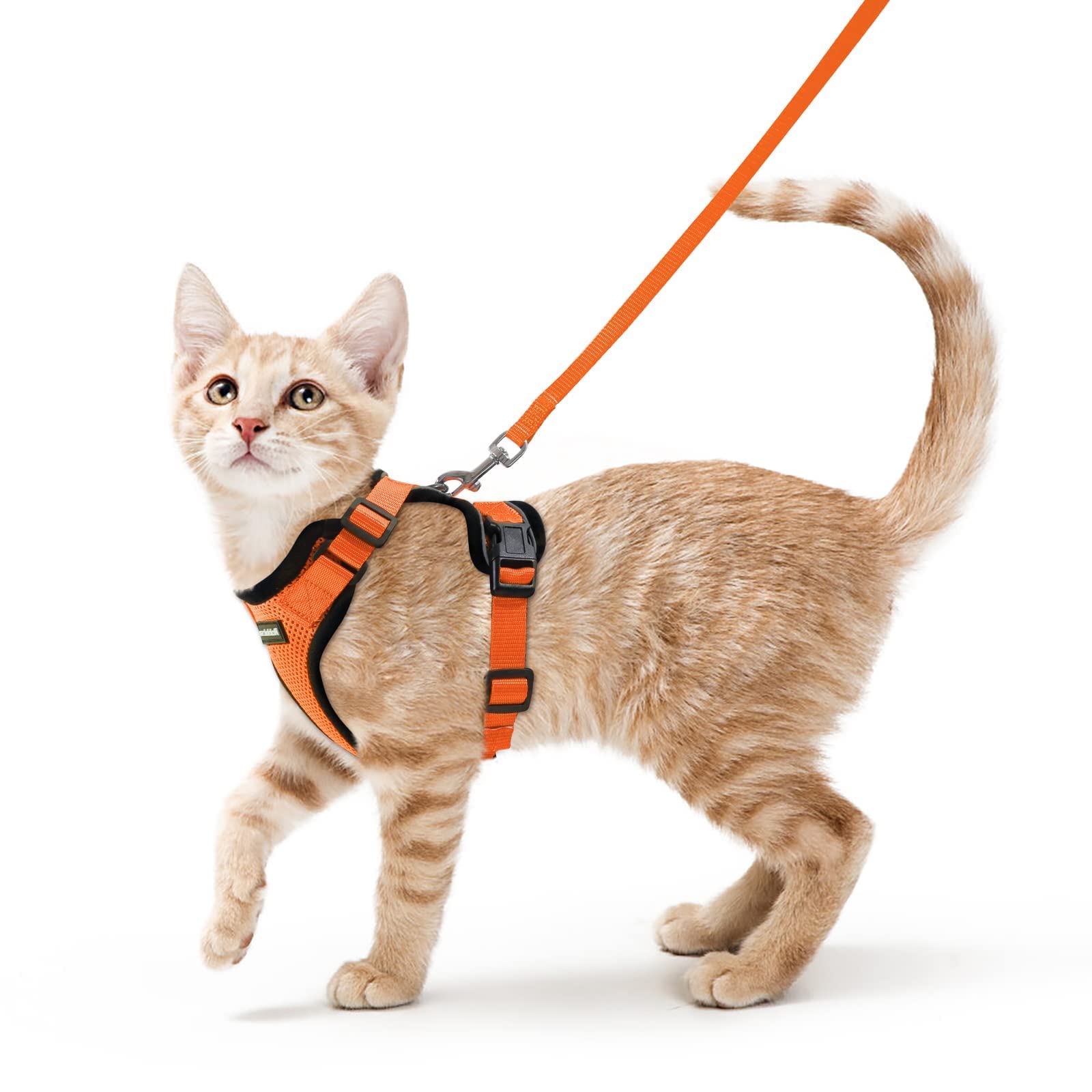 Photo 1 of rabbitgoo Cat Harness and Leash for Walking, Escape Proof Soft Adjustable Vest Harnesses for Cats, Easy Control Breathable Reflective Strips Jacket, Orange, XS