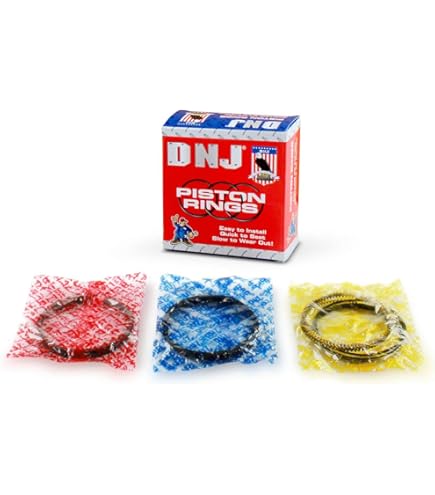 Amazon.com: DNJ P631.20 Oversize Piston Set for 1990-1996