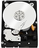 WD RE SAS 3 TB Enterprise Hard Drive: 3.5 Inch, 7200 RPM, SAS, 32 MB Cache - WD3001FYYG