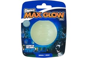 CHUCKIT! CHUCKIT Max Glow Balls, Small