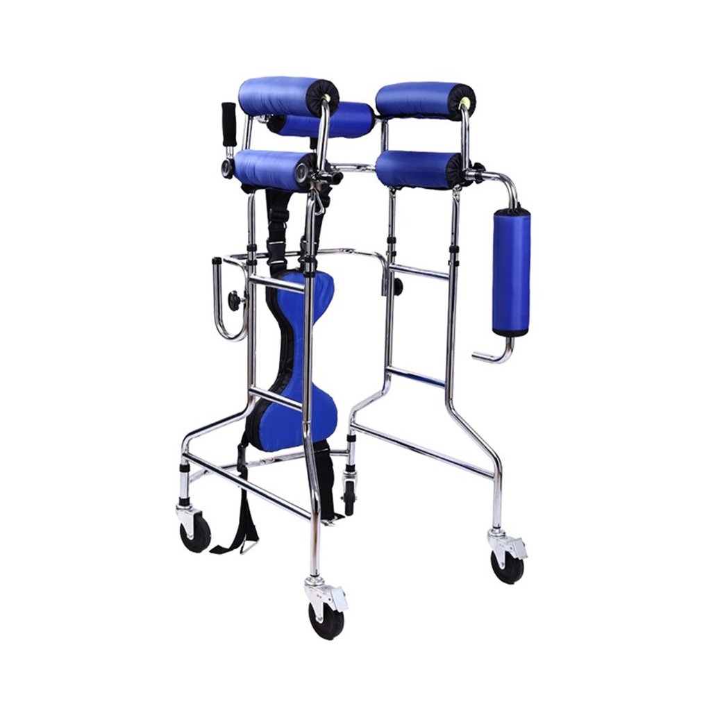 stand and walk walker