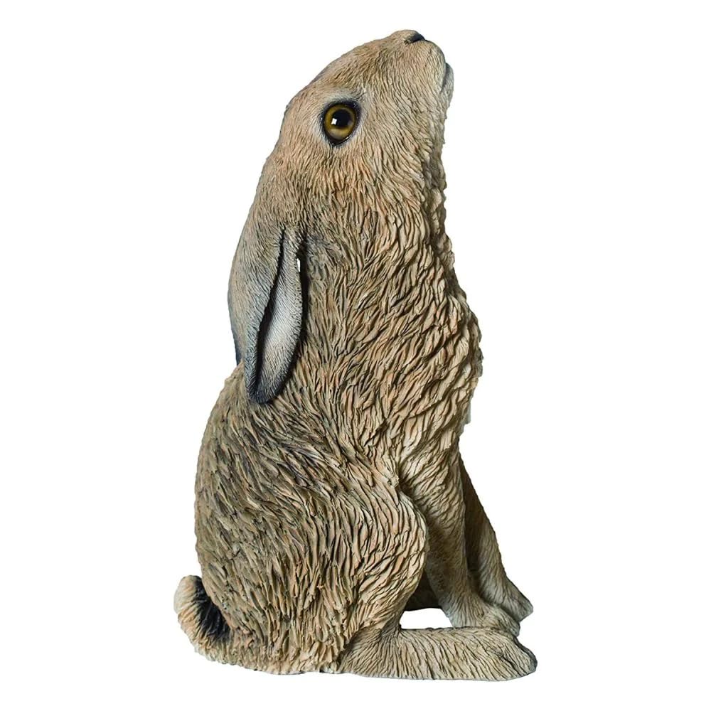 M.E.G Cards & Gifts Vivid Arts - Small Real Life Moon Gazing Hare Home or Garden Decoration (XRL-HR01-D)