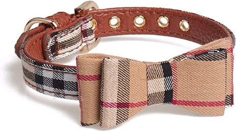 burberry dog collar amazon