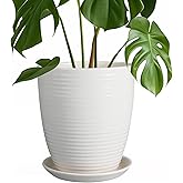 EPFamily 8 Inch Ceramic Planter Pot Round Plant Pot with Drainage Hole and Saucer Modern Flower Pot for Indoor Outdoor Plants White