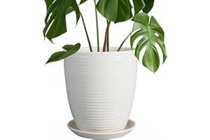 EPFamily 8 Inch Ceramic Planter Pot Round Plant Pot with Drainage Hole and Saucer Modern Flower Pot for Indoor Outdoor Plants White