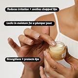 UPCIRCLE Lip Balm Hemp Seed Oil Shea 15ml Hydrating Rosehip Grapefruit view 4