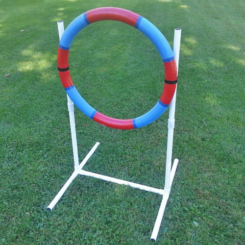 Affordable Agility Practice Tire Jump
