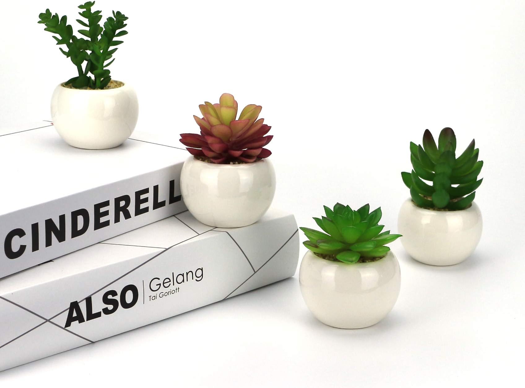 GemEwell Artificial Succulent Plants 4 Kinds Mini Fake Cactus Succulents Potted Plant in White Round-Shaped Ceramic Pot Ideal for Home & Office Decoration (Succulents B (Green & Red))