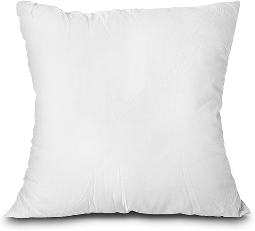 Amazon Com Edow Throw Pillow Insert Lightweight Soft Polyester