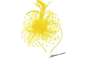 QIYIFAN Women's Feather Mesh Flower Fascinator with Headband and Clip Wedding Tea Party Kentucky Derby Fascinator Hats