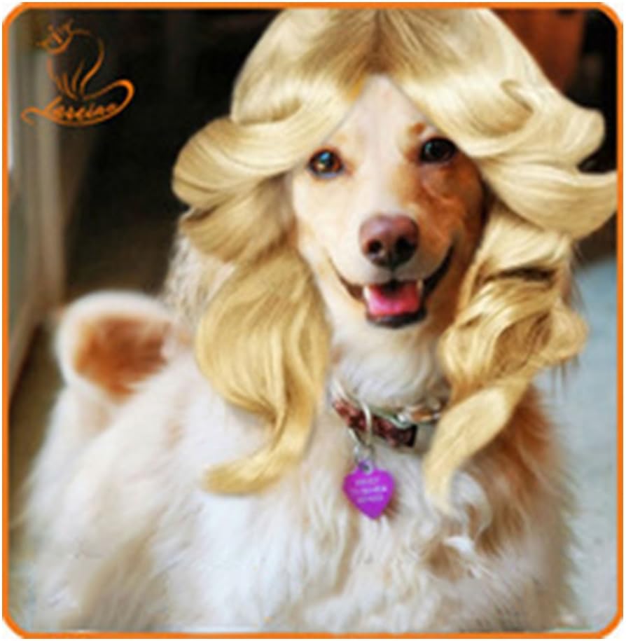 funny dogs with wigs