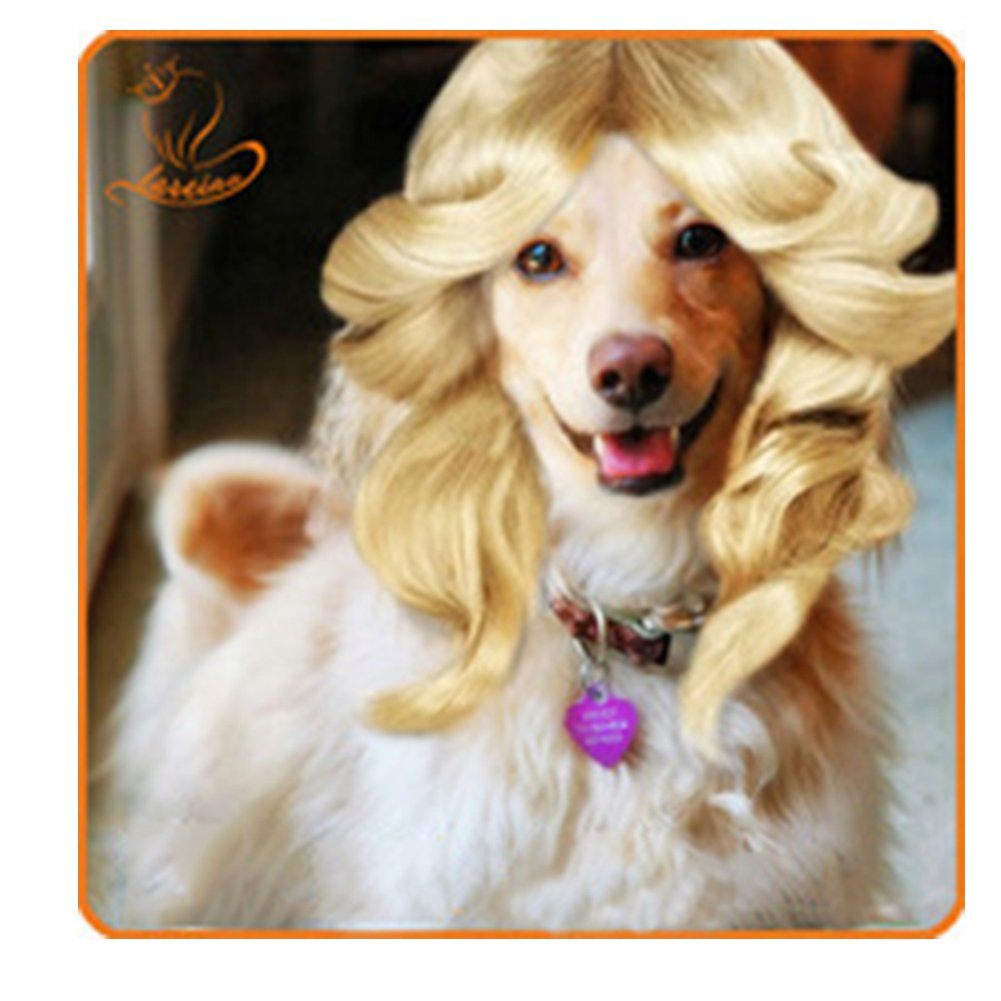dog wigs