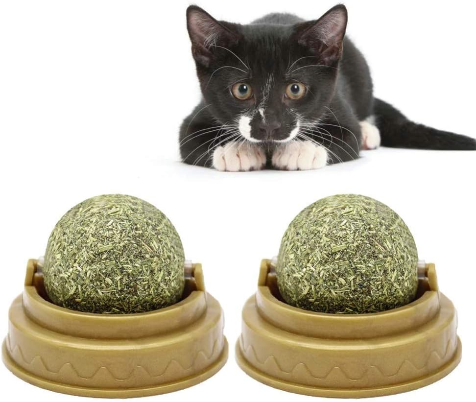 cat treat sugar ball