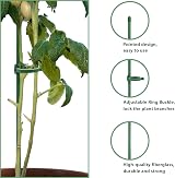 MEEYUU 20Pcs Plant Stakes 60cm Support Sticks for Indoor Outdoor Plants view 3