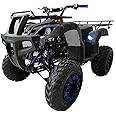 HHH 200cc ATV Big Utility 4 wheeler quad with Automatic Transmission Reverse, LED Headlight, Matching Rims, Big 23/22 inches Wheels CT-200-1 (Blue)
