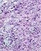 Chunky Cosmetic Holographic Body Glitter - Nail, Hair, Face & Body Glitter | Festival Rave Accessories by SoJourner (Iridescent Unicorn)